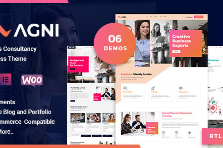 Agni v1.1.8 – Consulting Business
