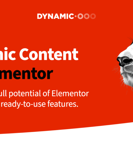 Dynamic Content for Elementor v3.3.10