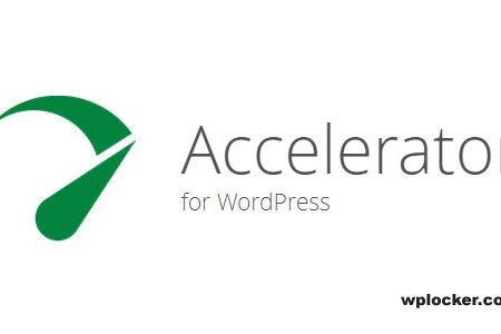 Seraphinite Accelerator v2.28.6